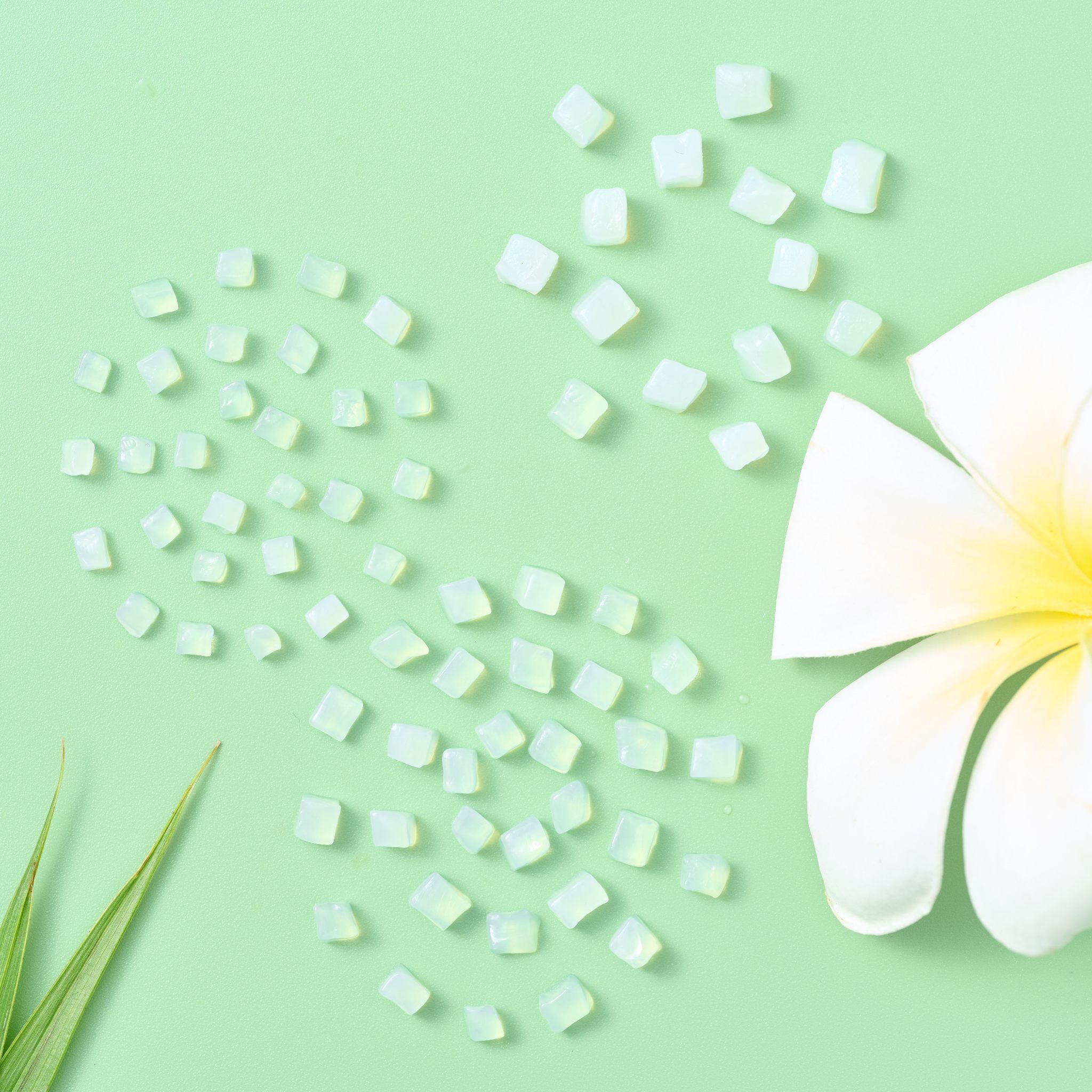 GC Food phát triển các dòng sản phẩm thạch dừa đa dạng, đáp ứng với nhu cầu người tiêu dùng.