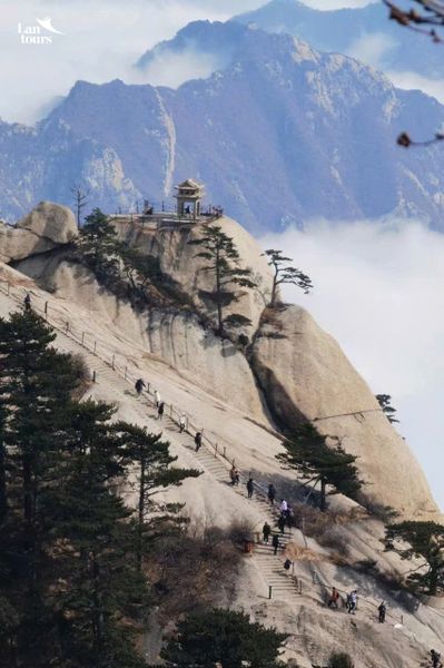 Con đường tơ lụa