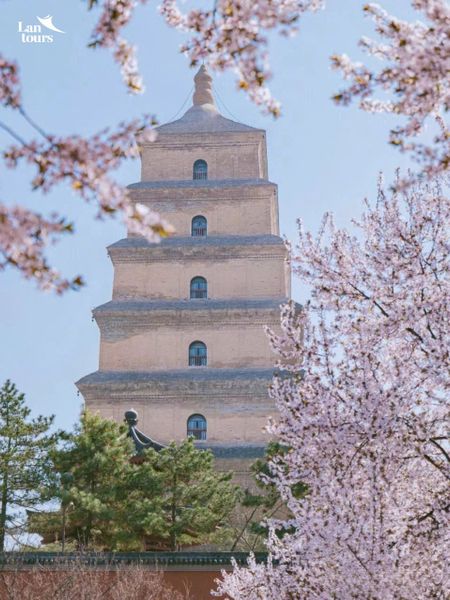 Con đường tơ lụa