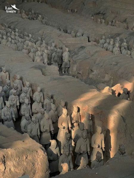 Con đường tơ lụa