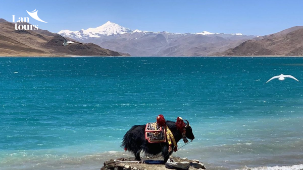 hồ YAMDROK tây tạng