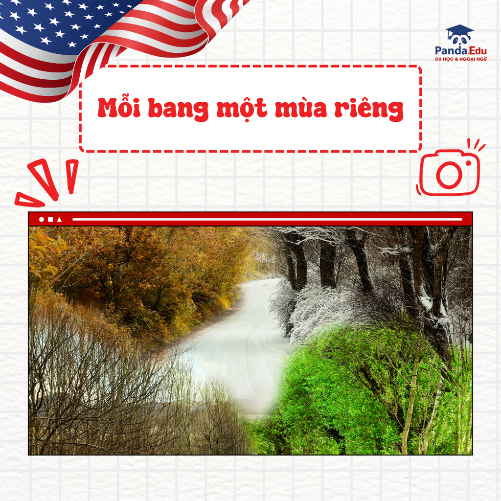 Cuộc sống ở Mỹ – Những điều thú vị và khác biệt khiến du học sinh Việt “thích mê”