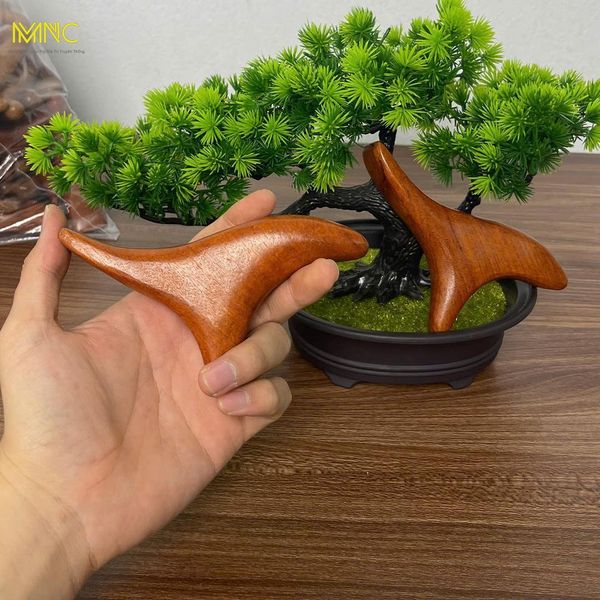 Thiết Kế Hình Con Én: Đỉnh Cao Của Sự Tiện Dụng