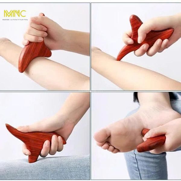 Hướng Dẫn Kỹ Thuật Sử Dụng Dụng Cụ Đay Huyệt Con Én Hiệu Quả