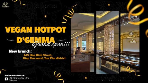 Buffet Chay D’Gemma Hòa Bình: Thiên Đường Lẩu Rau Nấm & Ẩm Thực Chay Tinh Tế