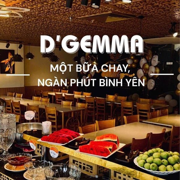 Buffet Chay D’Gemma Hòa Bình: Thiên Đường Lẩu Rau Nấm & Ẩm Thực Chay Tinh Tế