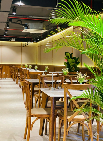 D’Gemma Celadon City: Điểm Hẹn Chay Ấm Cúng – Nơi Vị Giác Gặp Gỡ Sự Bình An