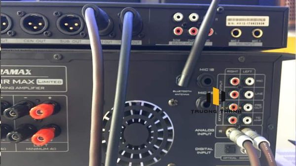 Hình ảnh bài viết