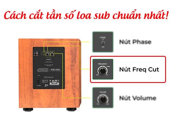 Hình ảnh bài viết