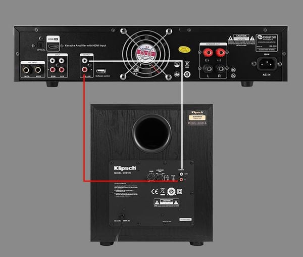 Hình ảnh bài viết