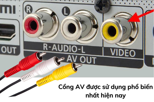 Hình ảnh bài viết