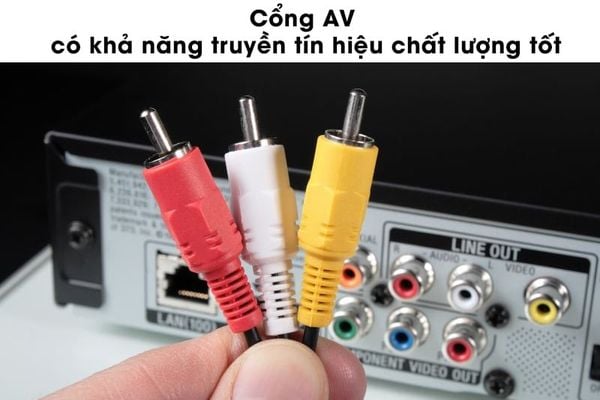 Hình ảnh bài viết