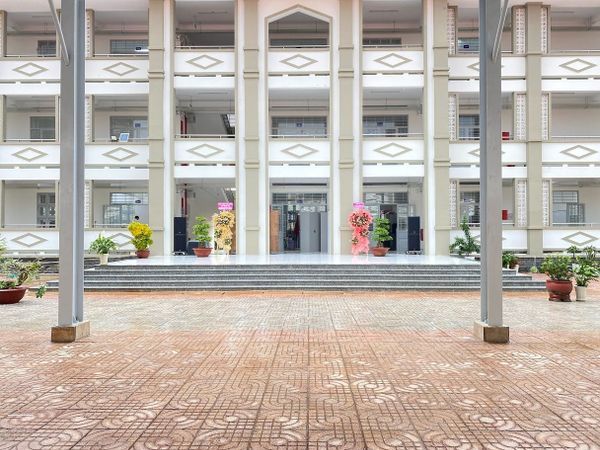 Hình ảnh bài viết