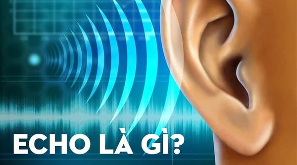 Hình ảnh bài viết