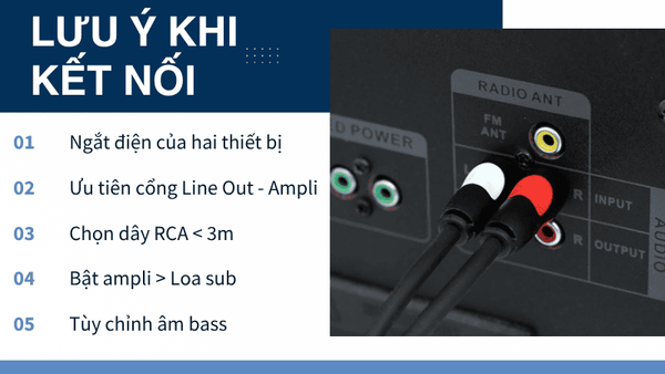 Hình ảnh bài viết