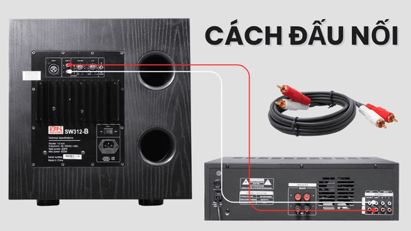 Hình ảnh bài viết