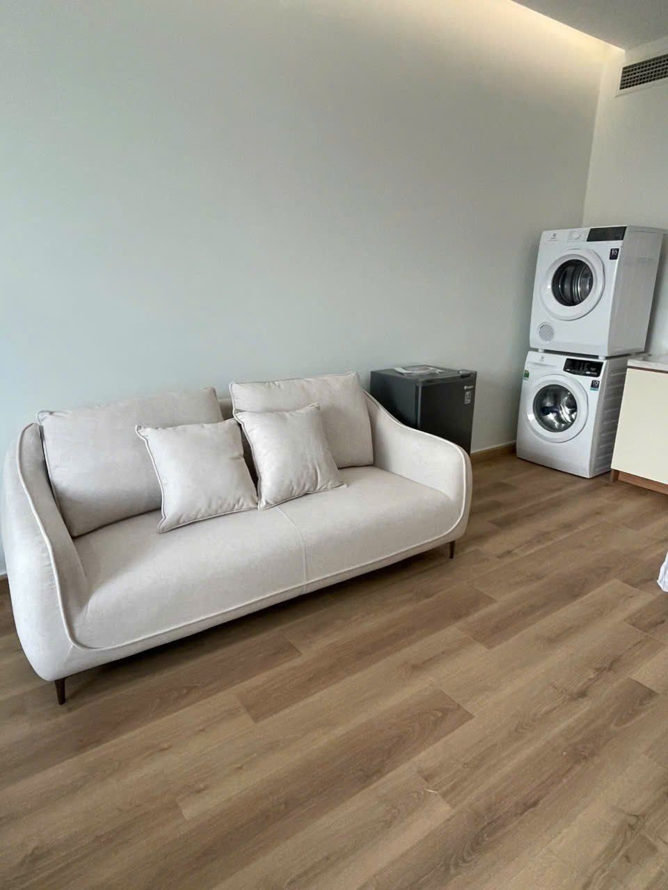 GOLDEN KING D7 | 17 October 2025