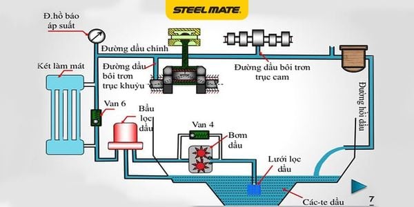 Hình ảnh bài viết
