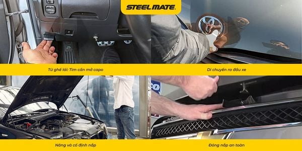 Hình ảnh bài viết