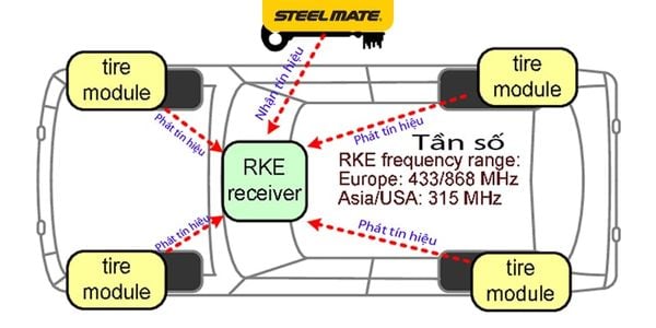 Hình ảnh bài viết
