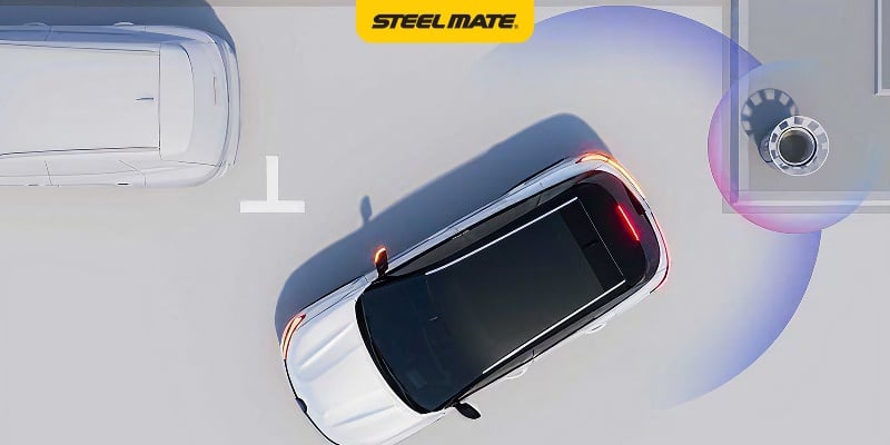 Hình ảnh bài viết