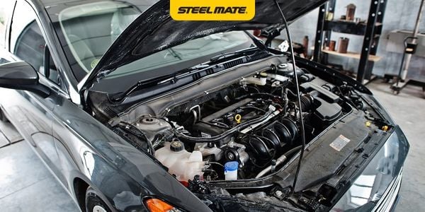 Hình ảnh bài viết