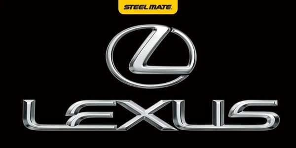 Hình ảnh bài viết