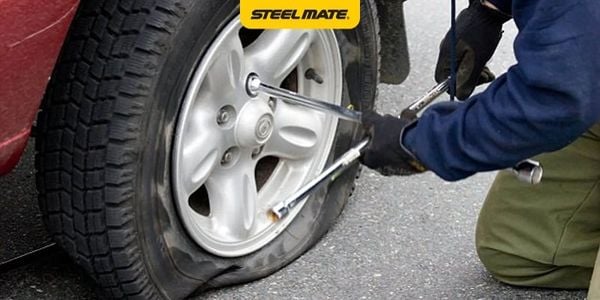 Hình ảnh bài viết