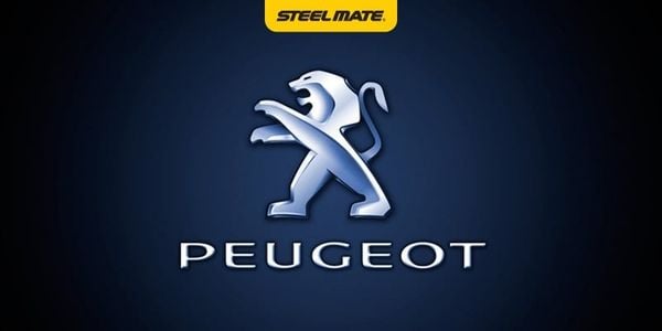 Hình ảnh bài viết