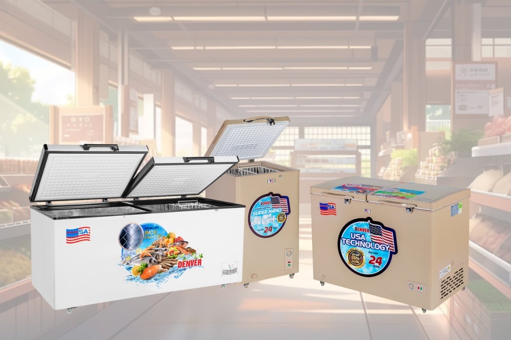Tủ đông 1 chế độ Denver đa dạng mẫu mã, kích thước và độ bền cao