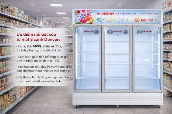 7+ Tiêu chí quan trọng để lựa chọn tủ mát 3 cánh tối ưu cho quy mô lớn
