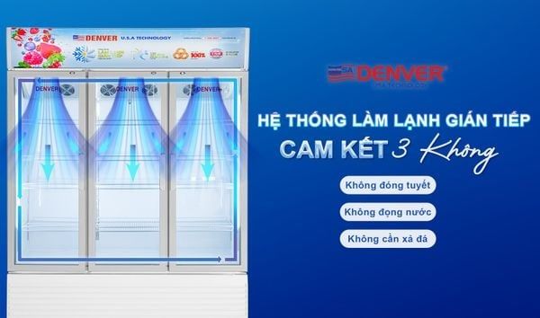 7+ Tiêu chí quan trọng để lựa chọn tủ mát 3 cánh tối ưu cho quy mô lớn