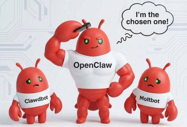 Clawdbot → Moltbot → OpenClaw