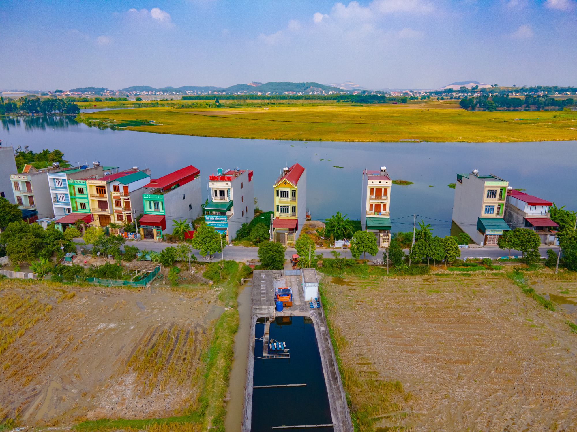 Hình ảnh bài viết