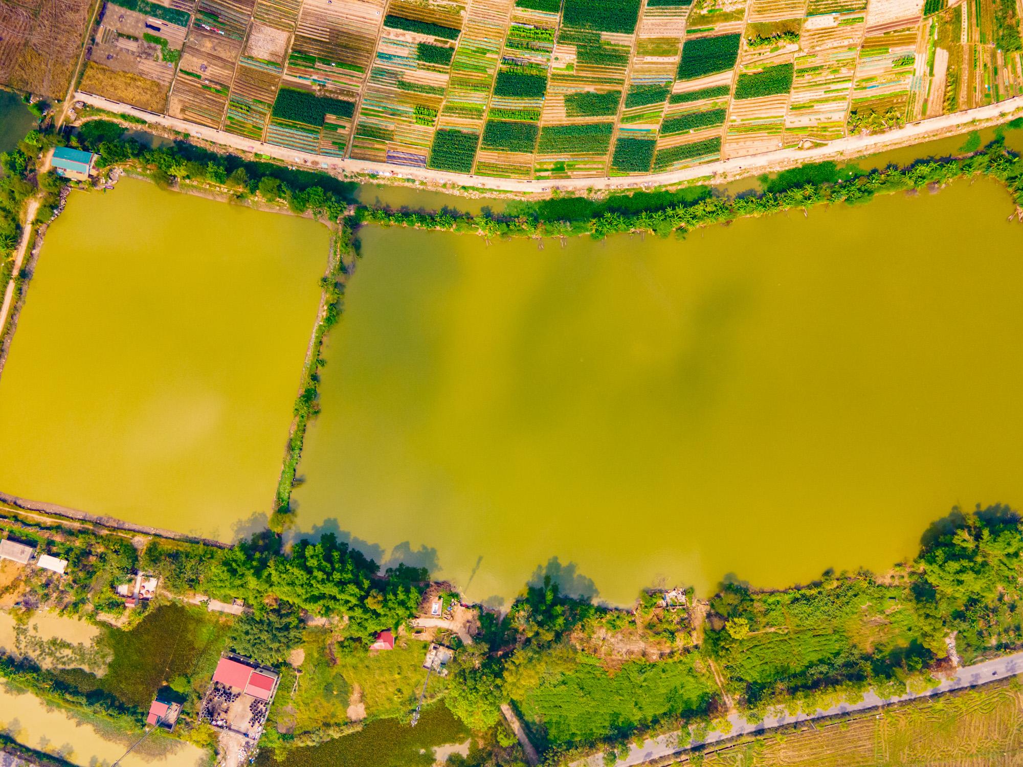 Hình ảnh bài viết