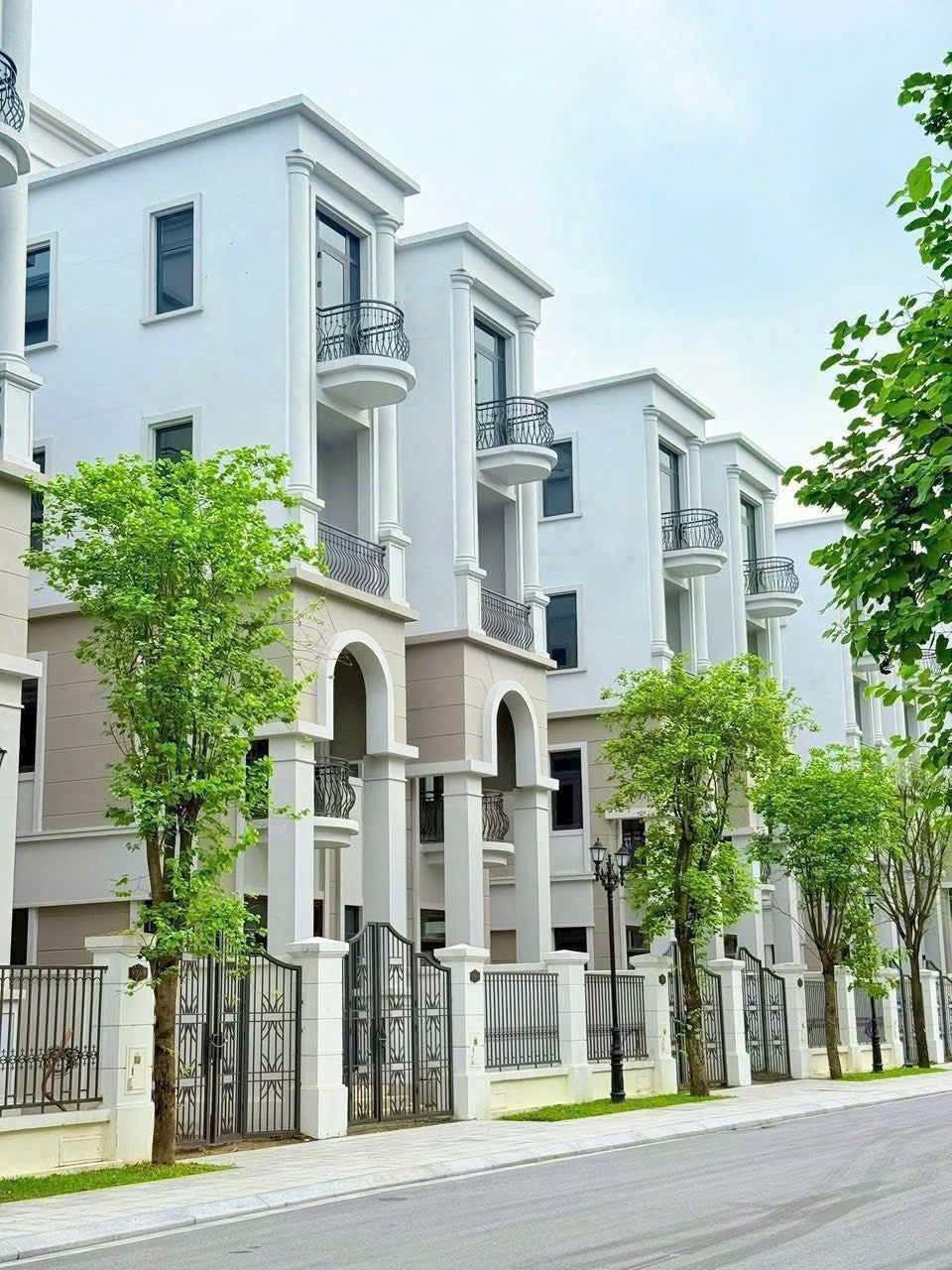 Hình ảnh bài viết