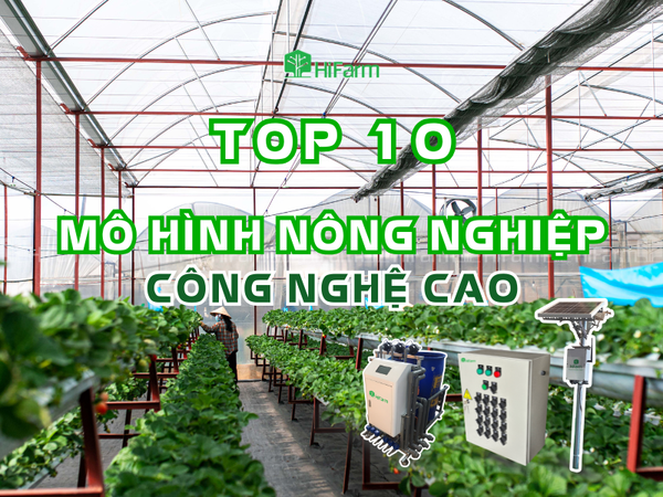 Top 10 mô hình nông nghiệp công nghệ cao bậc nhất hiện nay