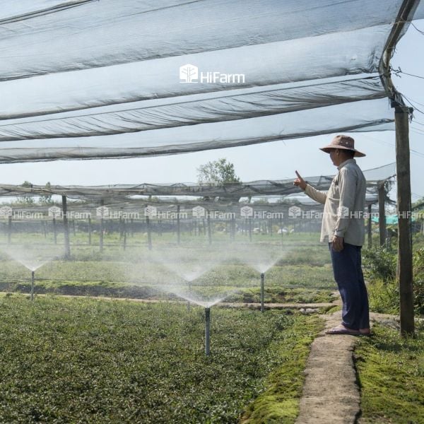 Lý do hệ thống tưới cây tự động ngày càng được ưa chuộng