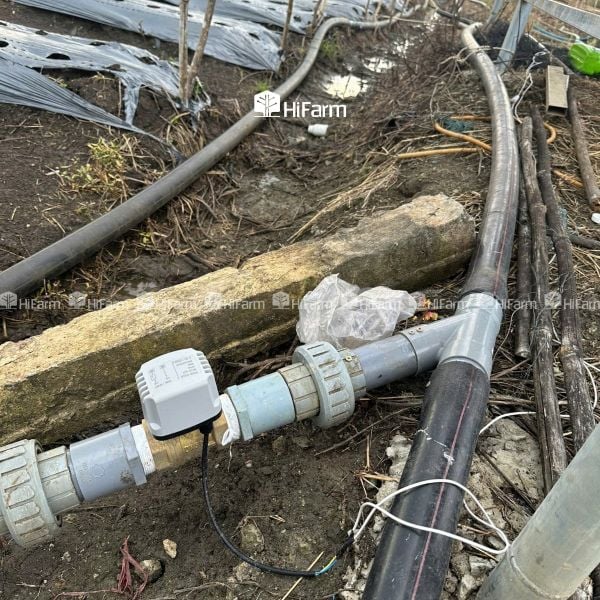 Cấu tạo cơ bản của một hệ thống tưới cây tự động