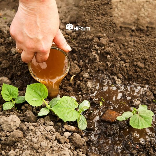 Một số điều cần biết khi sử dụng GE lâu năm