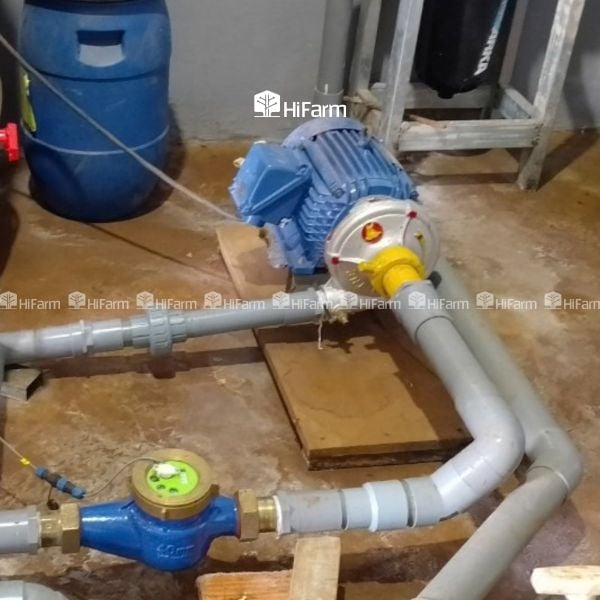 Máy bơm nước dùng trong hệ thống tưới tự động