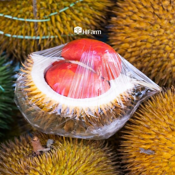 Musang King ruột đỏ được đánh giá cao về giá trị kinh tế