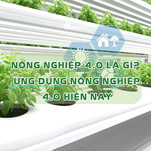 Nông nghiệp 4.0 là gì? Ứng dụng nông nghiệp 4.0 hiện nay