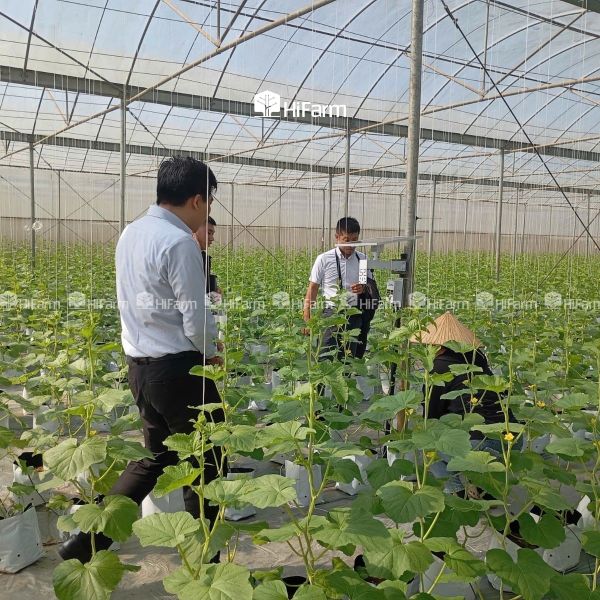 Nhà kính và nhà màng công nghệ cao trong nông nghiệp