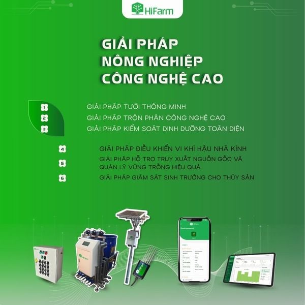 Dịch vụ giải pháp nông nghiệp công nghệ cao của HiFarm