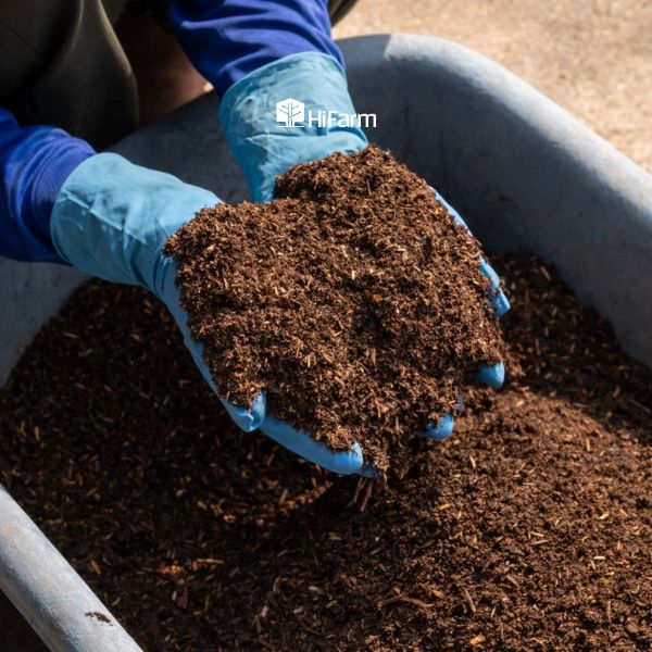 Cách phân bón vi sinh hoạt động trong đất