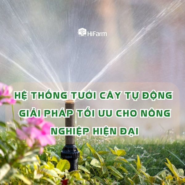 Hệ thống tưới cây tự động và giải pháp tối ưu cho nông nghiệp hiện đại