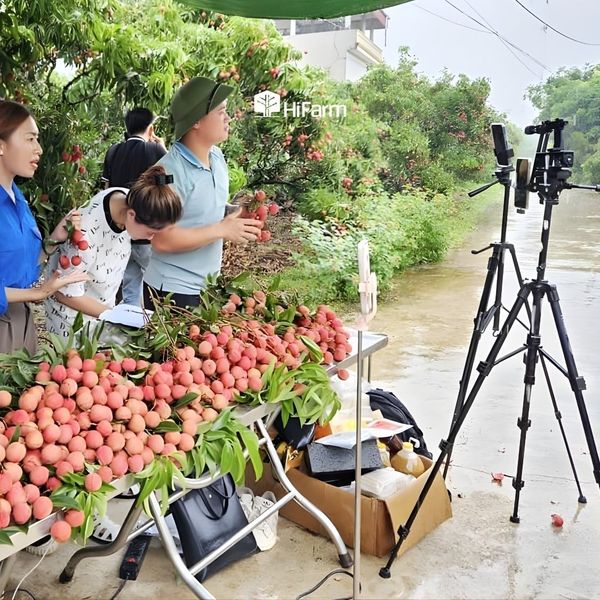 Dịch vụ tiếp thị và bán sản phẩm nông nghiệp