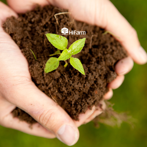 Tác dụng của giá thể trồng cây