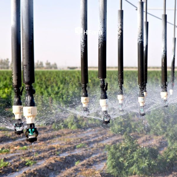 Các phương pháp tưới phổ biến hiện nay